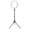 18" Adjustable LED Light Ring + Tripod